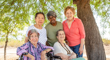 elderly long term care patients